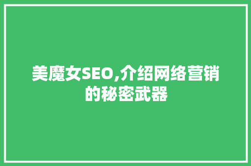 美魔女SEO,介绍网络营销的秘密武器
