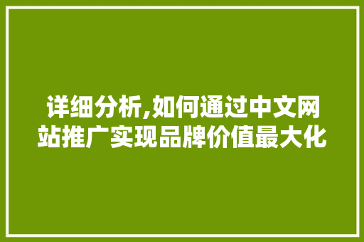 详细分析,如何通过中文网站推广实现品牌价值最大化