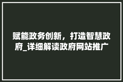 赋能政务创新，打造智慧政府_详细解读政府网站推广步骤