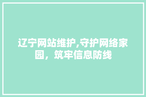 辽宁网站维护,守护网络家园，筑牢信息防线