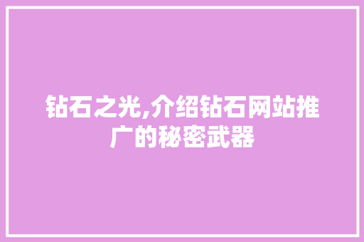 钻石之光,介绍钻石网站推广的秘密武器