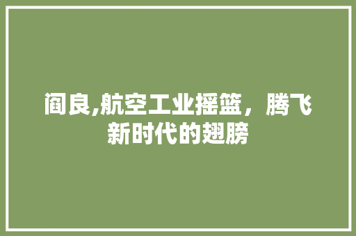 阎良,航空工业摇篮，腾飞新时代的翅膀
