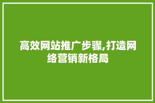 高效网站推广步骤,打造网络营销新格局