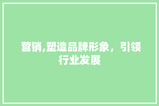  营销,塑造品牌形象，引领行业发展