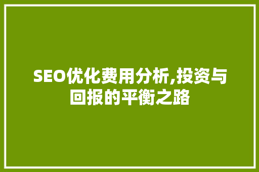 SEO优化费用分析,投资与回报的平衡之路