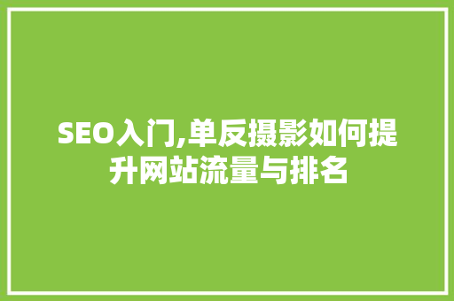 SEO入门,单反摄影如何提升网站流量与排名
