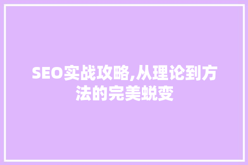 SEO实战攻略,从理论到方法的完美蜕变