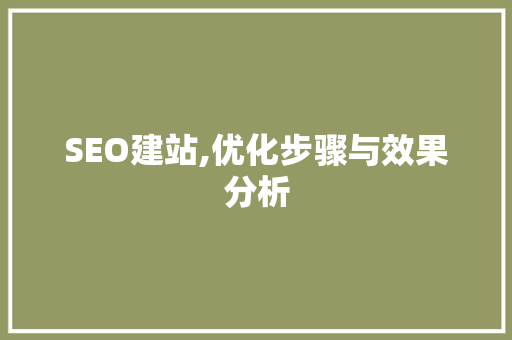 SEO建站,优化步骤与效果分析