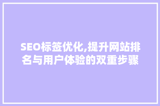 SEO标签优化,提升网站排名与用户体验的双重步骤