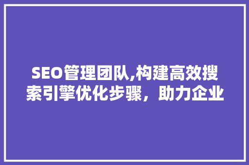 SEO管理团队,构建高效搜索引擎优化步骤，助力企业腾飞