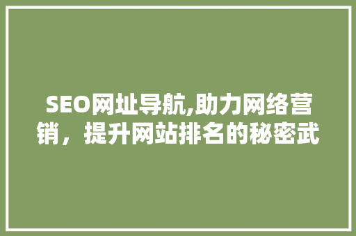 SEO网址导航,助力网络营销，提升网站排名的秘密武器