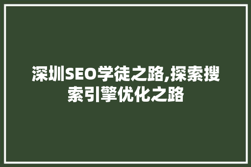 深圳SEO学徒之路,探索搜索引擎优化之路