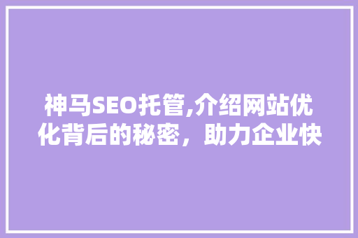 神马SEO托管,介绍网站优化背后的秘密，助力企业快速提升在线竞争力