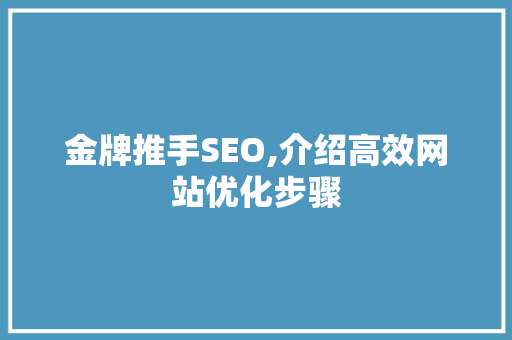 金牌推手SEO,介绍高效网站优化步骤