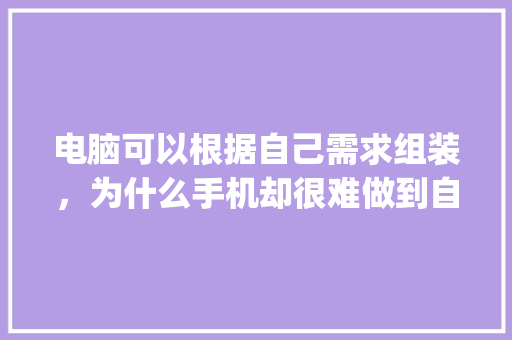 电脑可以根据自己需求组装,为什么手机却很难做到自己组装_电脑装机配置手机怎么看型号 电脑可以根据自己需求组装,为什么手机却很难做到自己组装_电脑装机配置手机怎么看型号