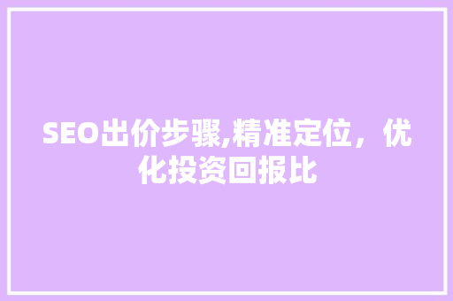 SEO出价步骤,精准定位，优化投资回报比