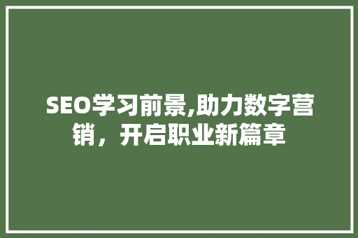 SEO学习前景,助力数字营销，开启职业新篇章