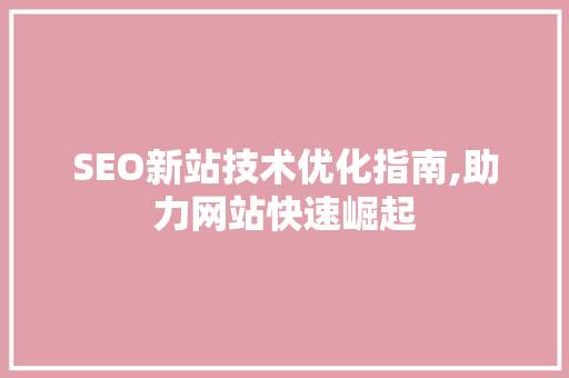 SEO新站技术优化指南,助力网站快速崛起