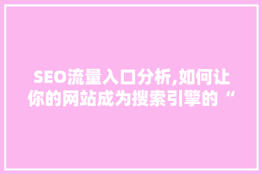 SEO流量入口分析,如何让你的网站成为搜索引擎的“宠儿”