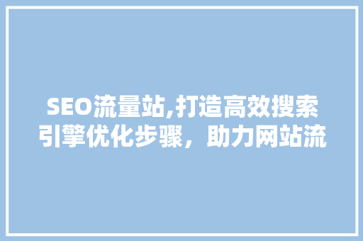 SEO流量站,打造高效搜索引擎优化步骤，助力网站流量提升