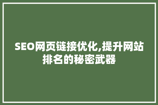 SEO网页链接优化,提升网站排名的秘密武器