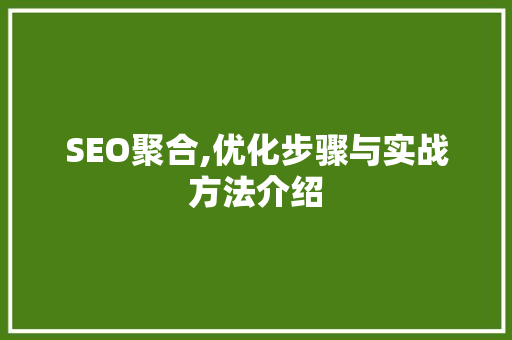 SEO聚合,优化步骤与实战方法介绍