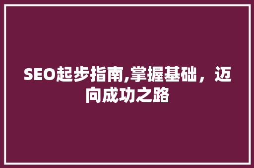 SEO起步指南,掌握基础，迈向成功之路