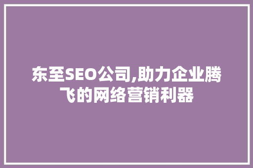 东至SEO公司,助力企业腾飞的网络营销利器