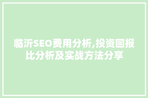 临沂SEO费用分析,投资回报比分析及实战方法分享 临沂SEO费用分析,投资回报比分析及实战方法分享