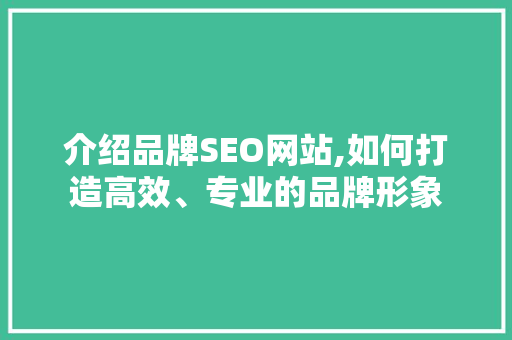介绍品牌SEO网站,如何打造高效、专业的品牌形象