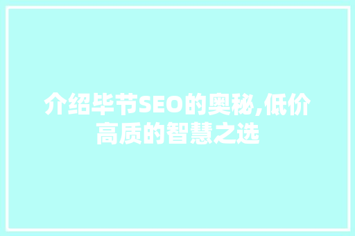 介绍毕节SEO的奥秘,低价高质的智慧之选