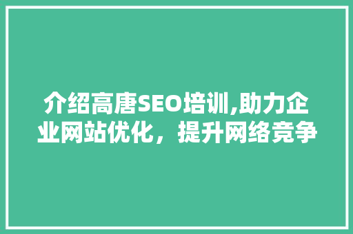 介绍高唐SEO培训,助力企业网站优化，提升网络竞争力