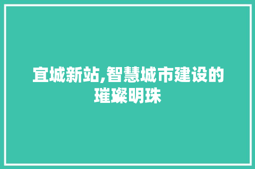 宜城新站,智慧城市建设的璀璨明珠