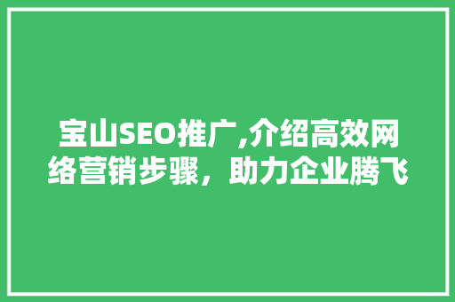 宝山SEO推广,介绍高效网络营销步骤，助力企业腾飞