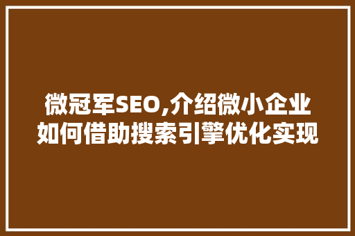 微冠军SEO,介绍微小企业如何借助搜索引擎优化实现逆袭