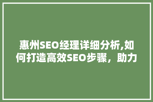 惠州SEO经理详细分析,如何打造高效SEO步骤，助力企业网络营销
