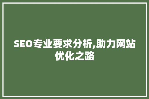 SEO专业要求分析,助力网站优化之路