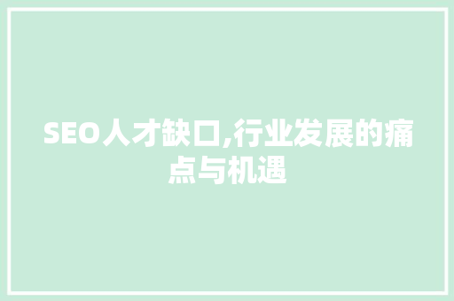 SEO人才缺口,行业发展的痛点与机遇