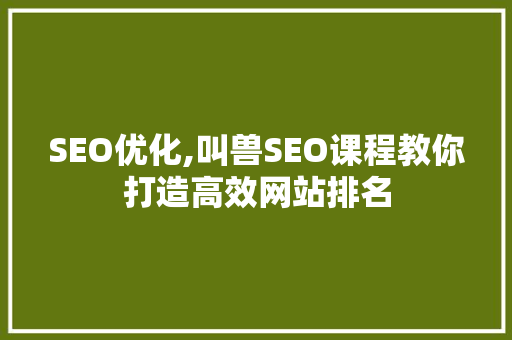 SEO优化,叫兽SEO课程教你打造高效网站排名