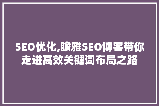 SEO优化,瞻雅SEO博客带你走进高效关键词布局之路