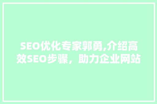SEO优化专家郭勇,介绍高效SEO步骤，助力企业网站排名提升