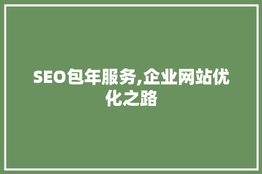 SEO包年服务,企业网站优化之路