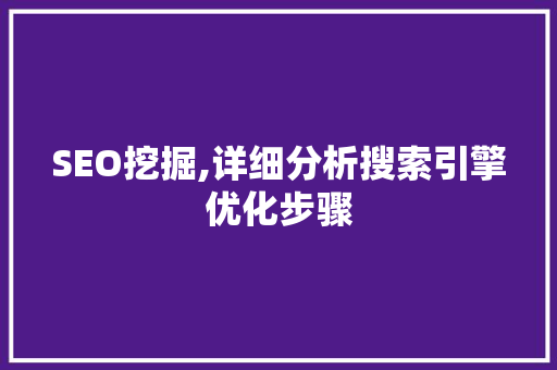 SEO挖掘,详细分析搜索引擎优化步骤
