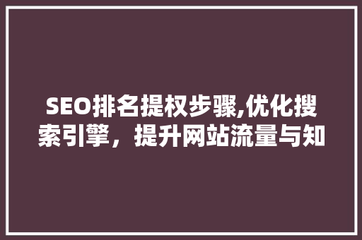 SEO排名提权步骤,优化搜索引擎，提升网站流量与知名度