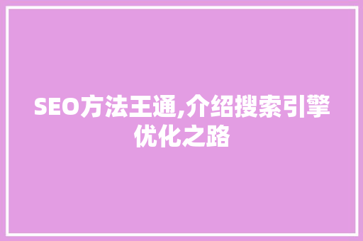 SEO方法王通,介绍搜索引擎优化之路