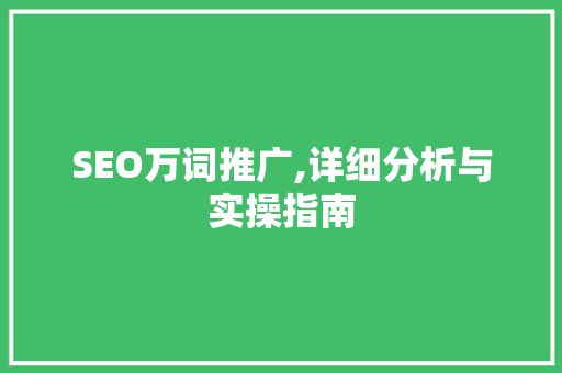 SEO万词推广,详细分析与实操指南