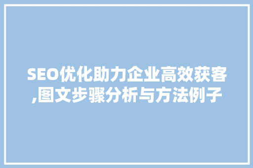 SEO优化助力企业高效获客,图文步骤分析与方法例子 SEO优化助力企业高效获客,图文步骤分析与方法例子