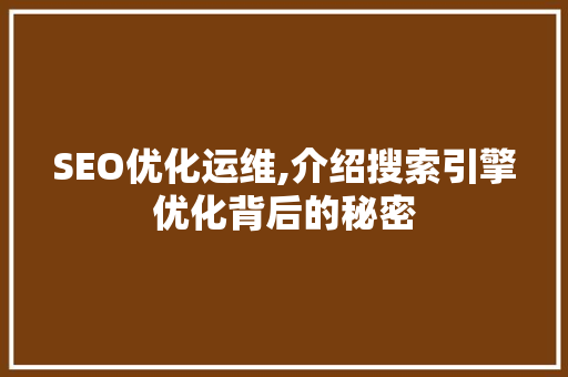 SEO优化运维,介绍搜索引擎优化背后的秘密