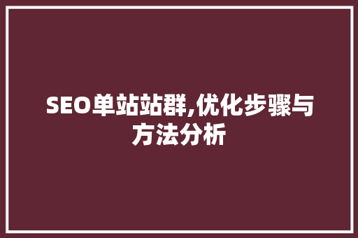 SEO单站站群,优化步骤与方法分析 SEO单站站群,优化步骤与方法分析