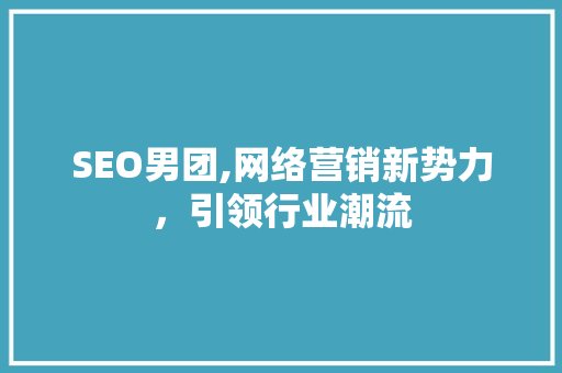 SEO男团,网络营销新势力，引领行业潮流